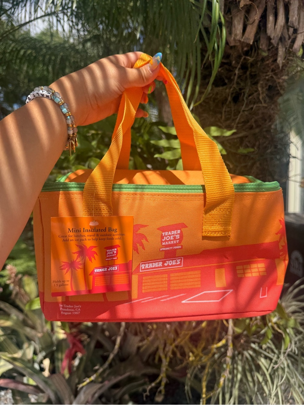 NWT | Trader Joe's Mini Insulated Lunch Bag - Orange & Red